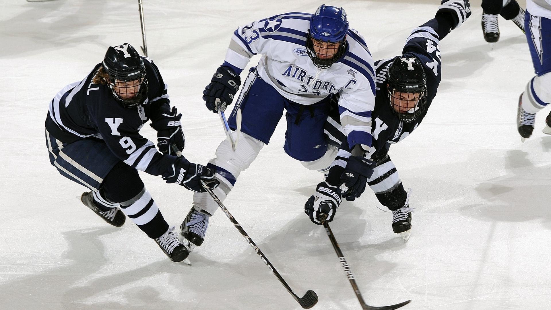 敬请期待：下一个“新星”会是谁？