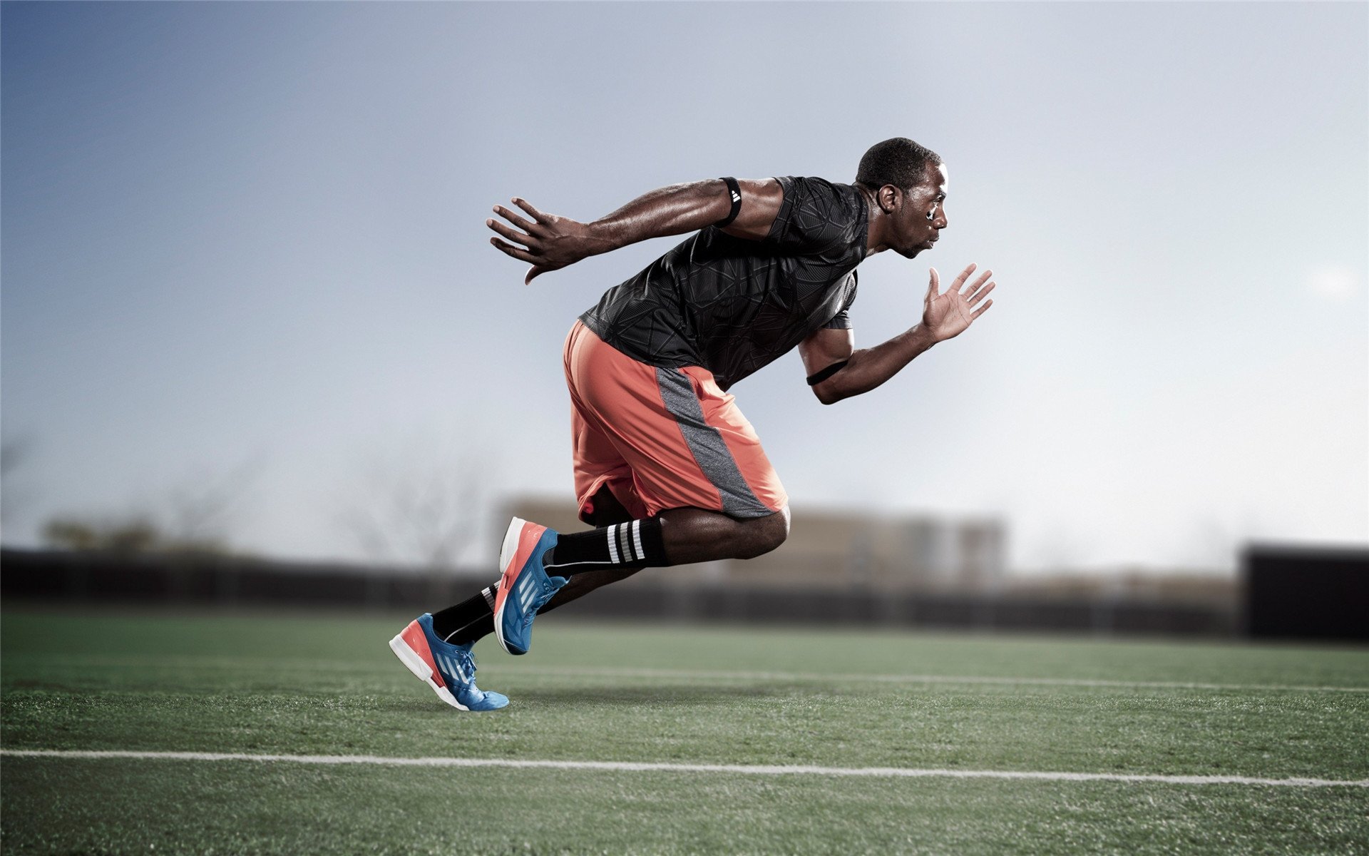 篮球新星崛起，挑战霸主地位！，篮球界的新星