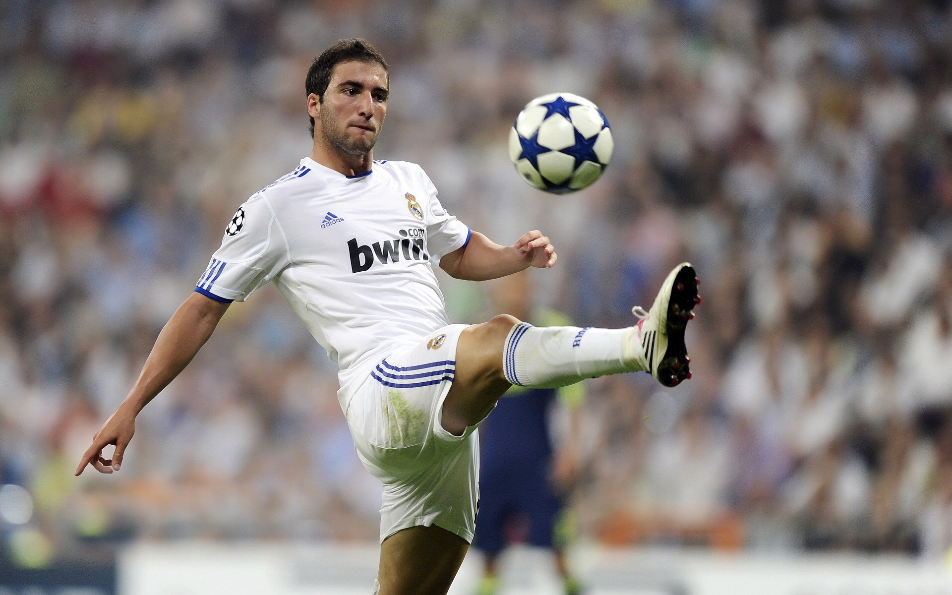 篮球新星崛起，挑战霸主地位！，篮球界的新星